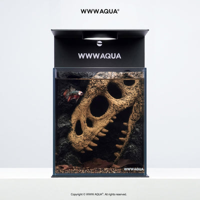 Echo of the Ancients - WWWAQUA