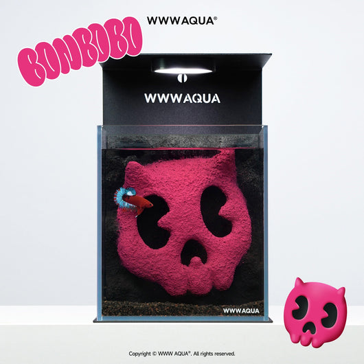 Bonbobo - WWWAQUA