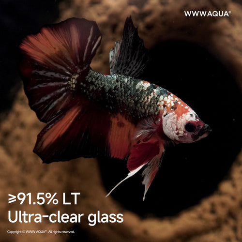 Echo of the Ancients