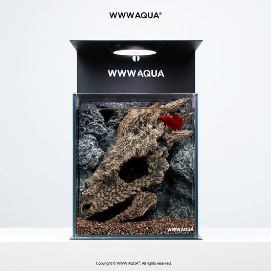 Guardian Fossil - WWWAQUA