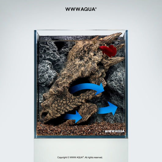 Guardian Fossil - WWWAQUA